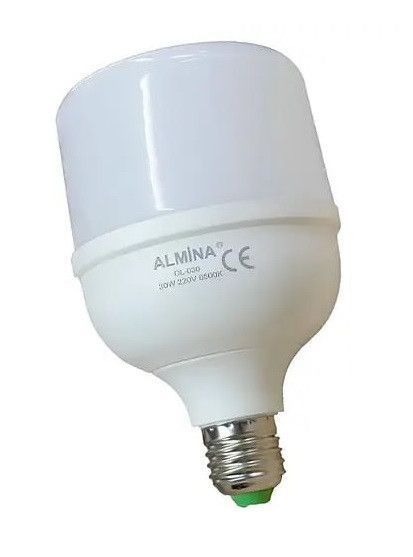 Светодиодная лампочка 30W E27 Almina DL-030 для аварийного освещения EM8340 фото